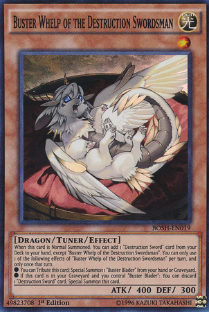 Buster Whelp of the Destruction Swordsman