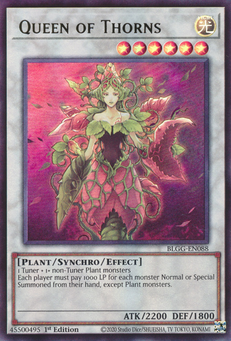 Queen of Thorns
