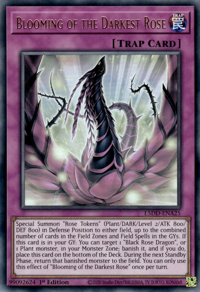 Blooming of the Darkest Rose
