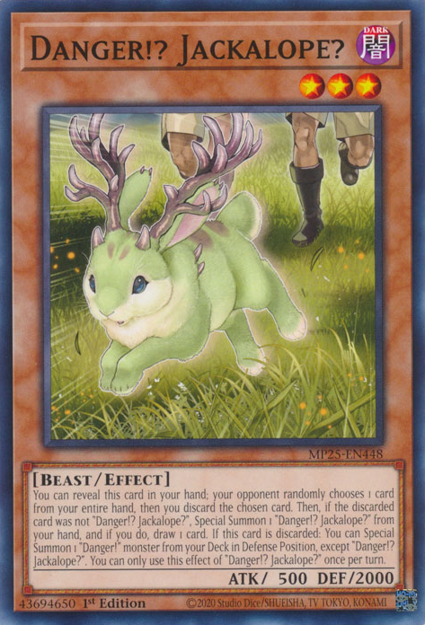 Danger!? Jackalope?