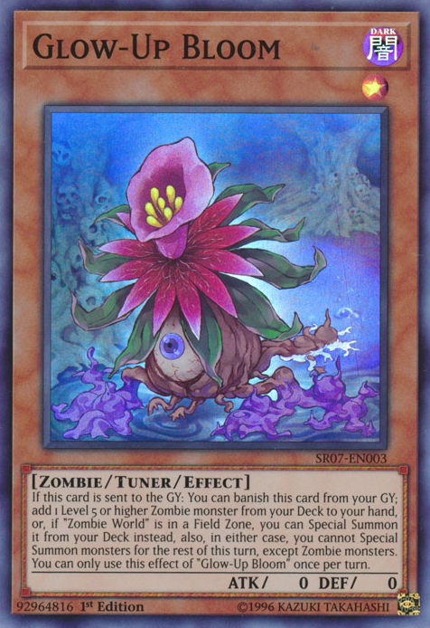 Glow-Up Bloom